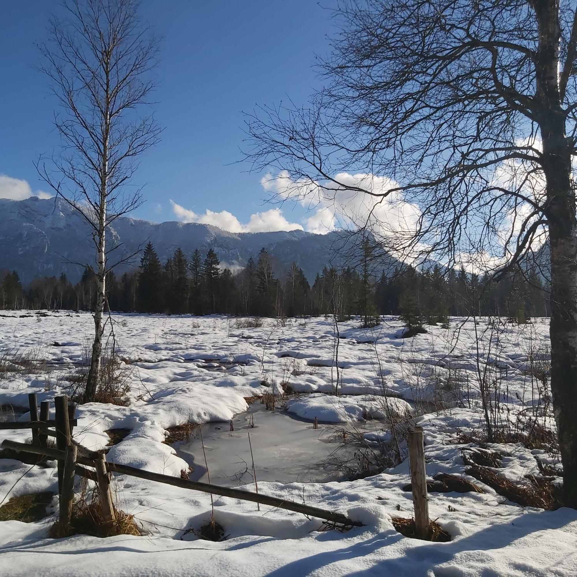 Apartment Andrea - Chiemgau Karte Inzell Ngoại thất bức ảnh