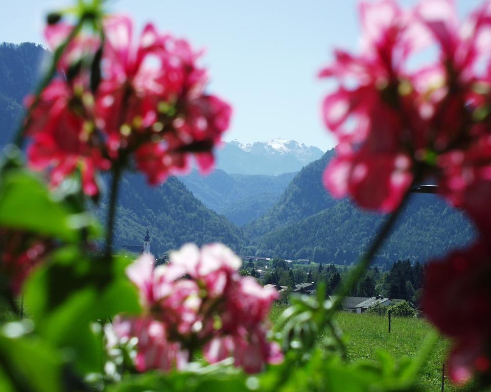 Apartment Andrea - Chiemgau Karte Inzell Ngoại thất bức ảnh