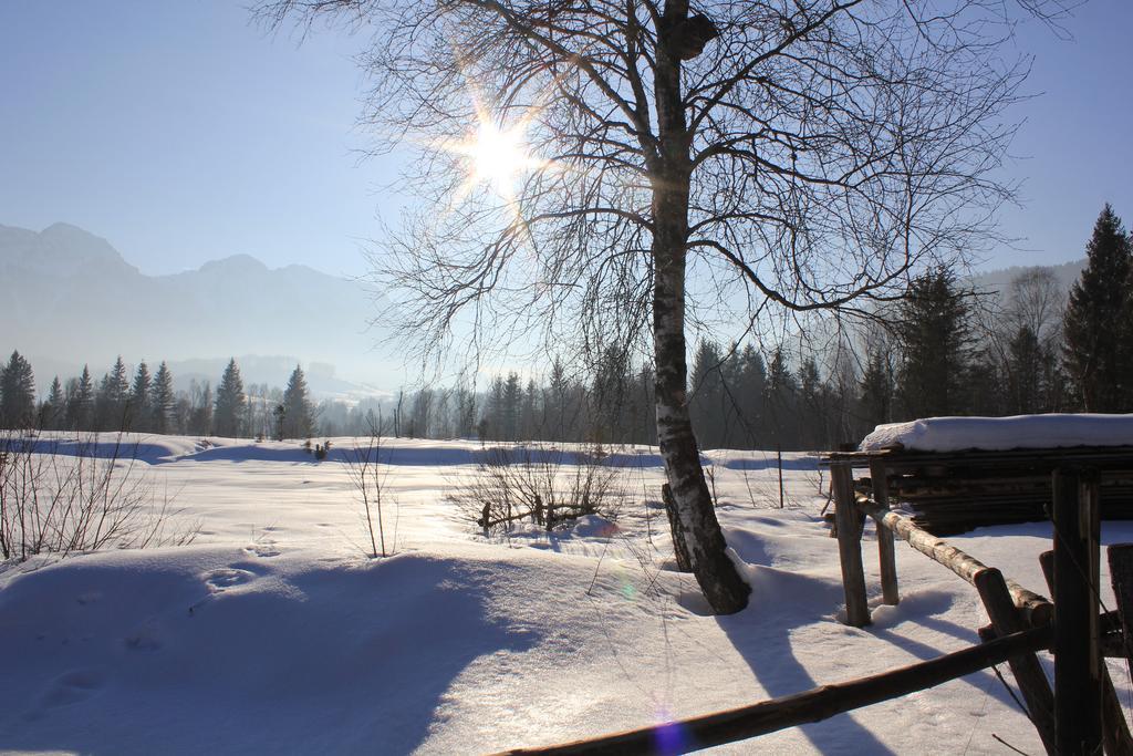 Apartment Andrea - Chiemgau Karte Inzell Ngoại thất bức ảnh