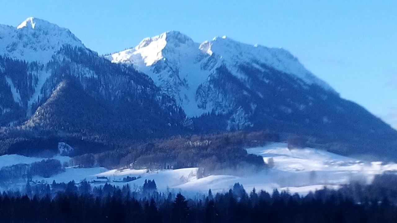 Apartment Andrea - Chiemgau Karte Inzell Ngoại thất bức ảnh